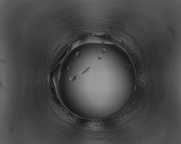 X0000090890756200708031052