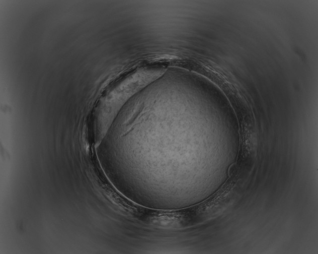 X0000090890758200708031052