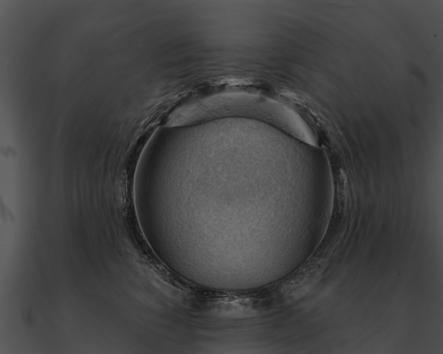 X0000090890760200708031052