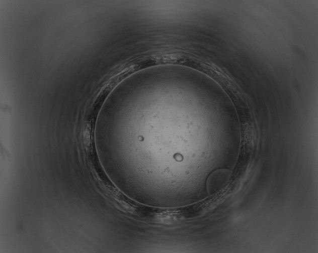 X0000090890761200708031052