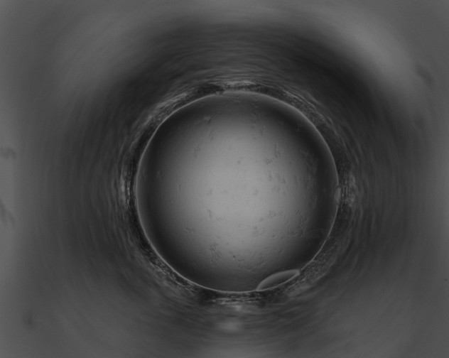 X0000090890763200708031052