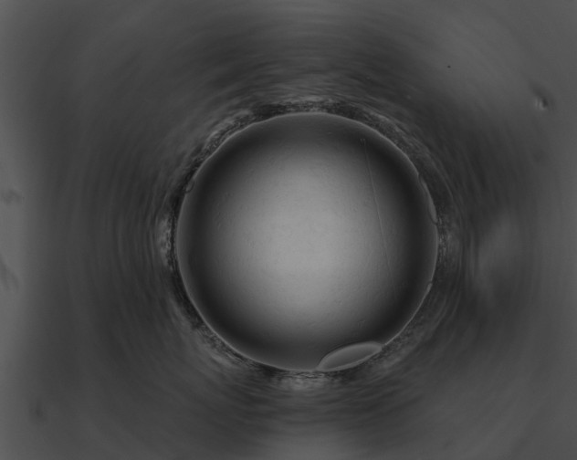 X0000090890767200708031052