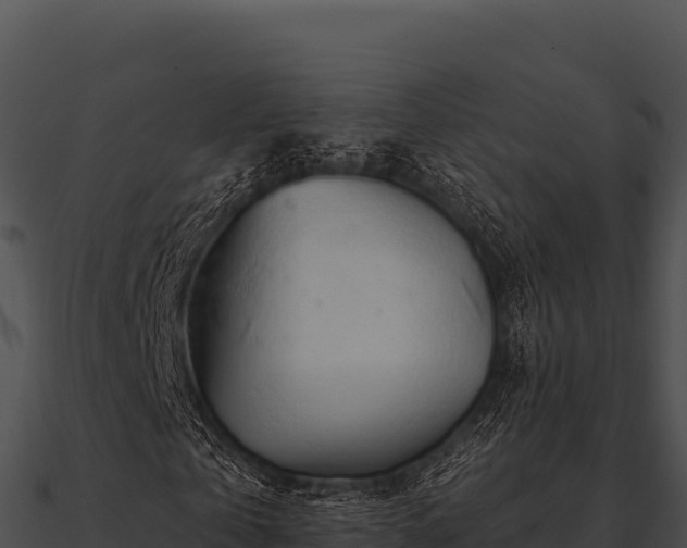 X0000090890769200708031051