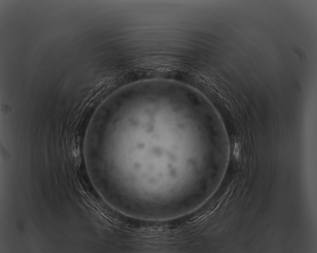 X0000090890771200708031051