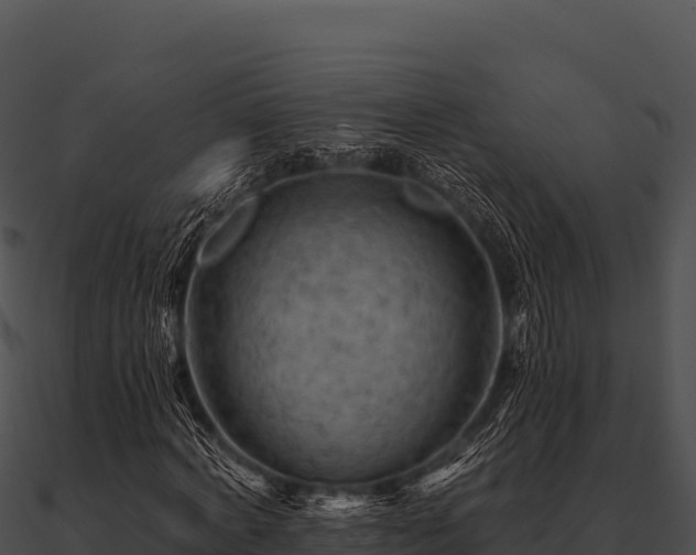 X0000090890772200708031051