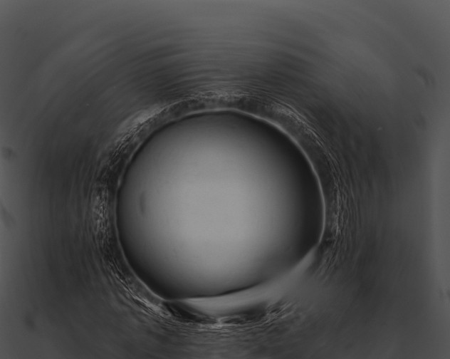 X0000090890773200708031051