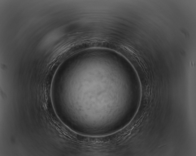 X0000090890774200708031051