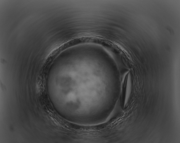 X0000090890775200708031051