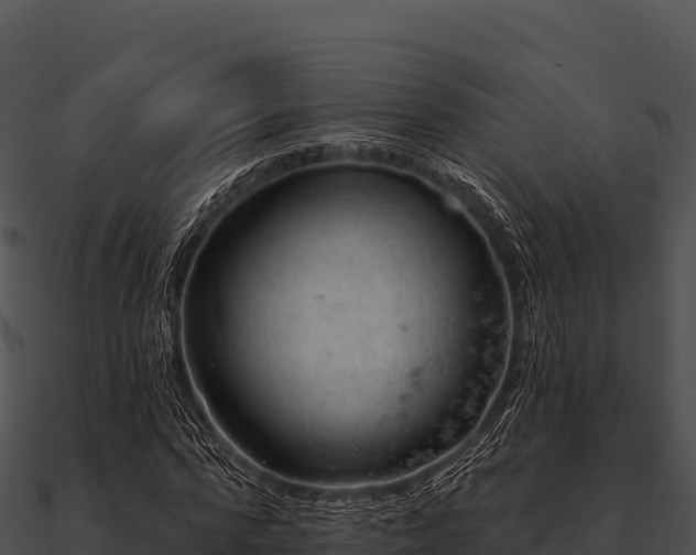 X0000090890776200708031051