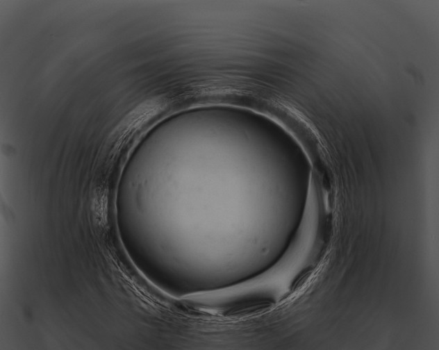 X0000090890777200708031051