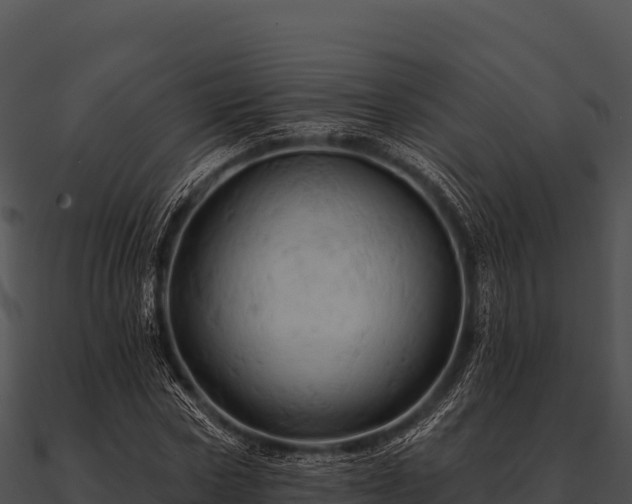 X0000090890778200708031051