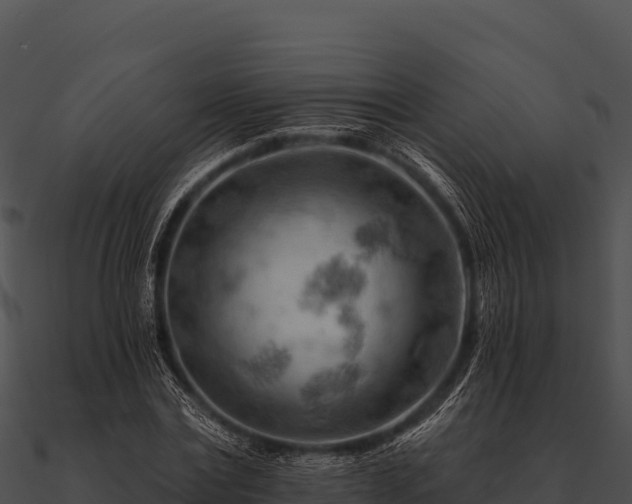 X0000090890779200708031051