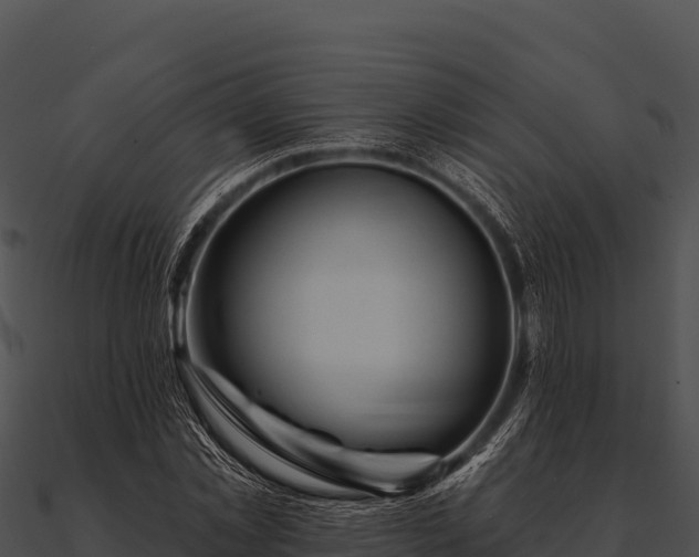 X0000090890781200708031051