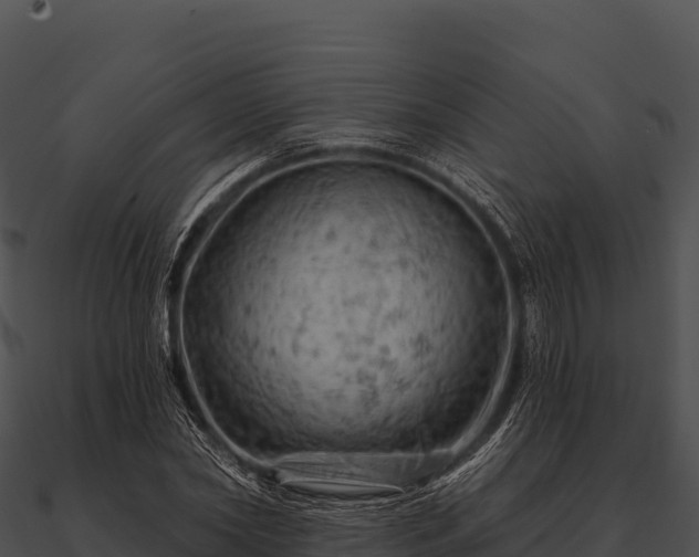 X0000090890782200708031051