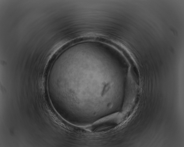 X0000090890783200708031051