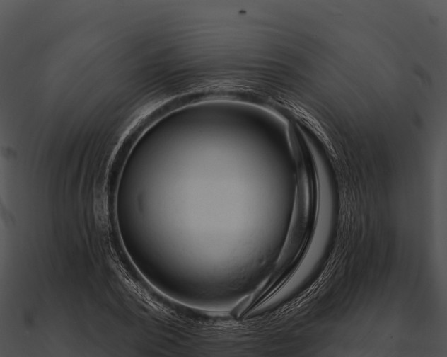 X0000090890784200708031051