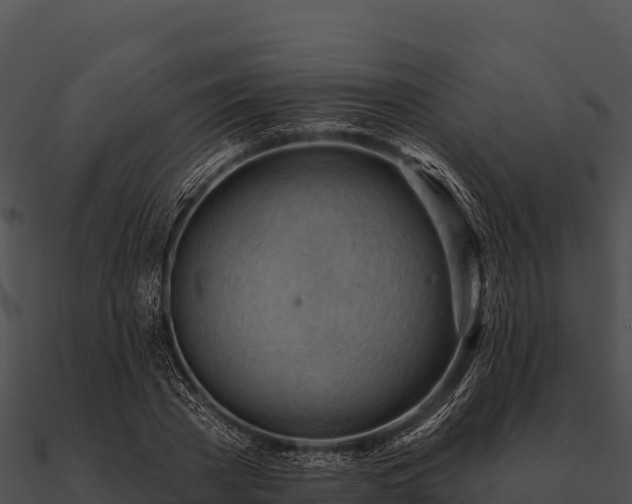 X0000090890785200708031051