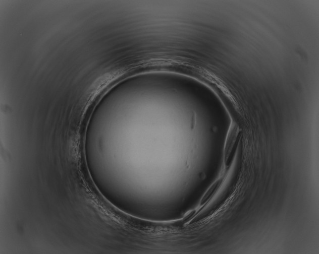 X0000090890786200708031051