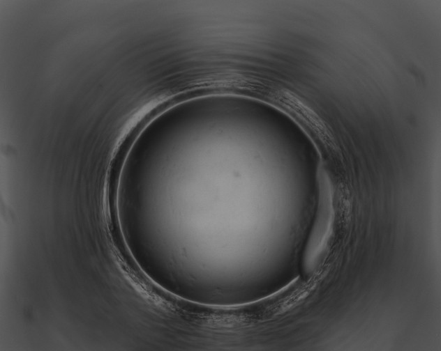 X0000090890788200708031051