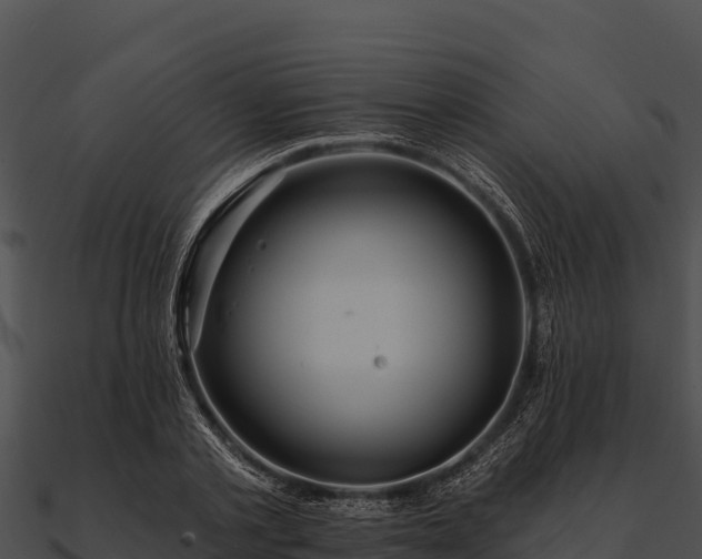 X0000090890789200708031051