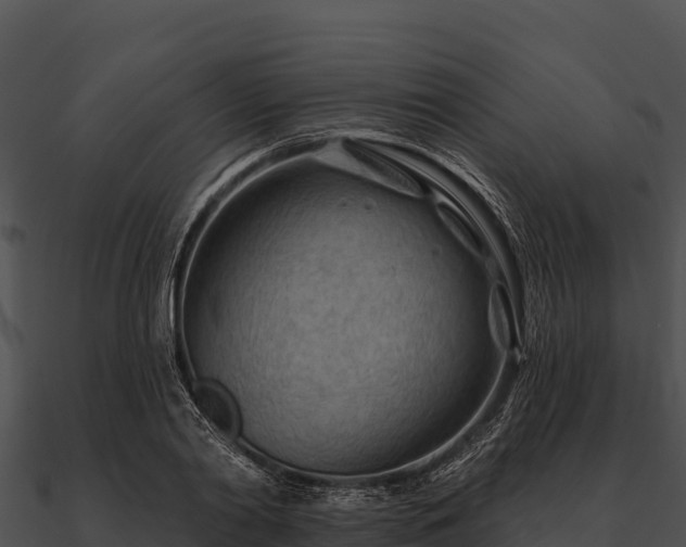 X0000090890790200708031051