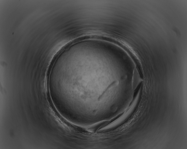 X0000090890791200708031051