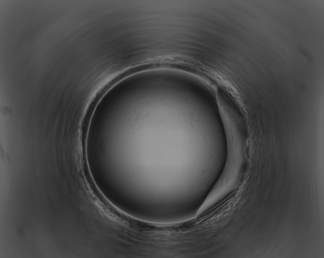 X0000090890792200708031051