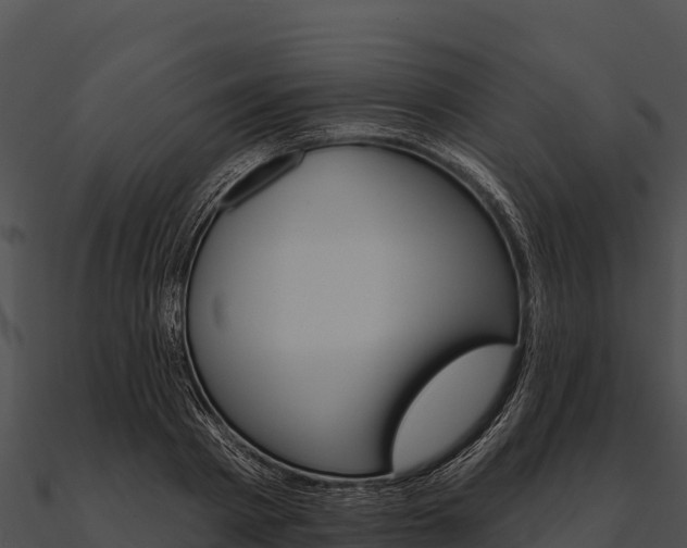 X0000090890793200708031051