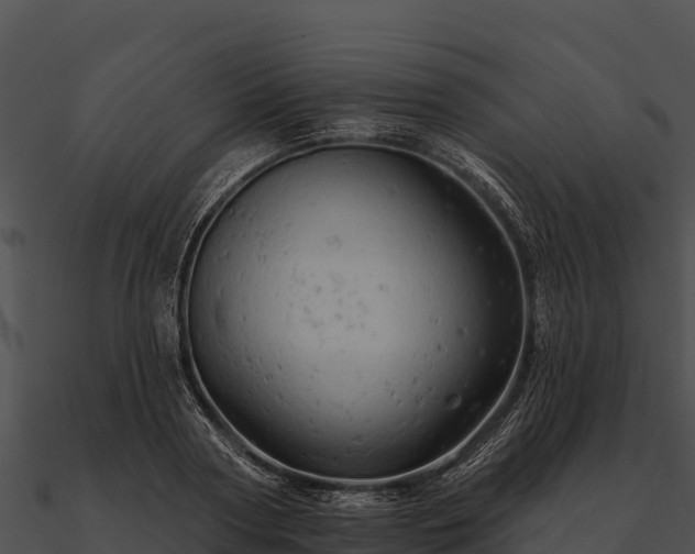 X0000090890794200708031051