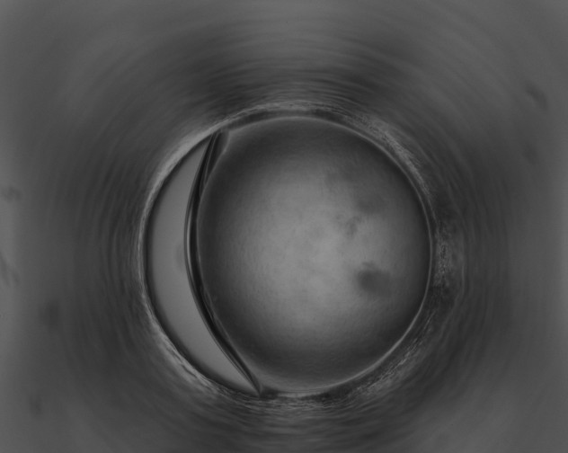 X0000090890795200708031051