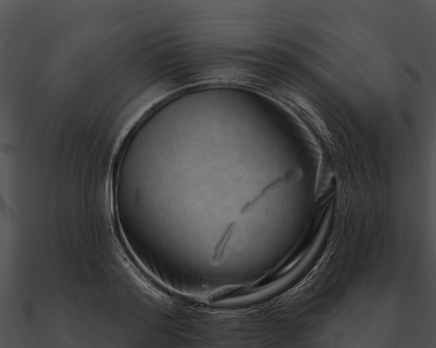 X0000090890796200708031051