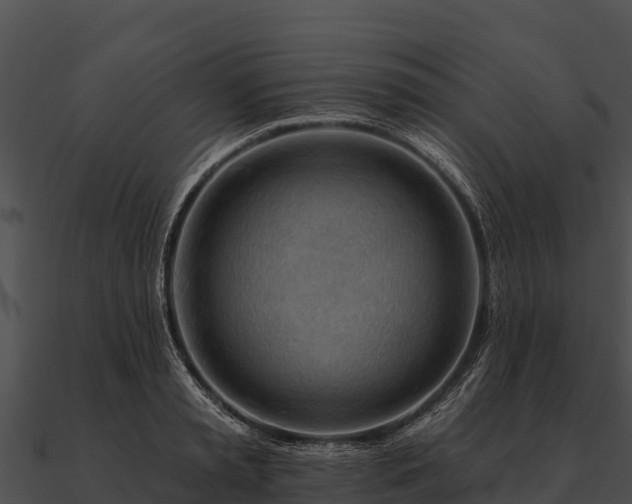 X0000090890797200708031051