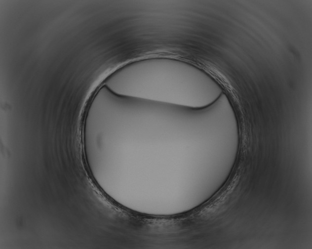 X0000090890800200708031051