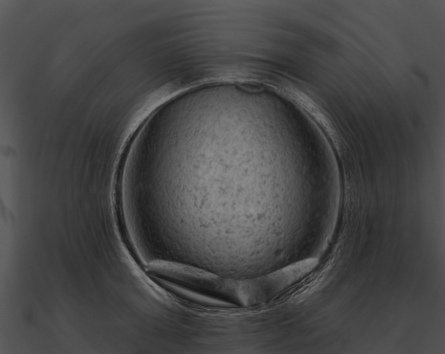 X0000090890803200708031051