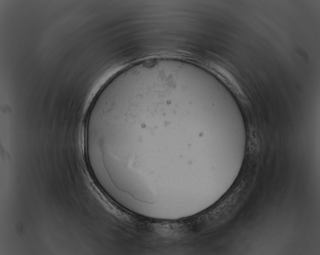 X0000090890804200708031051