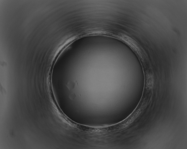 X0000090890806200708031051