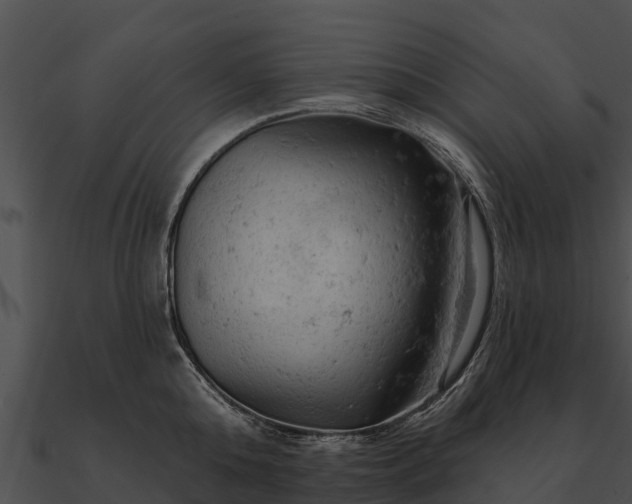 X0000090890808200708031051