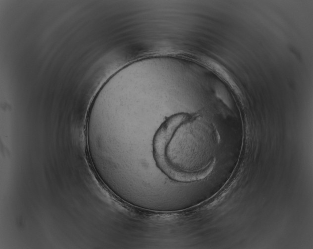 X0000090890810200708031051