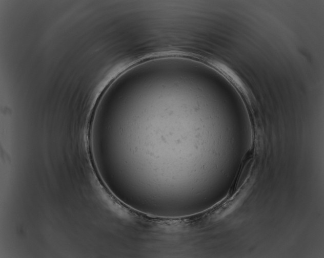 X0000090890813200708031051