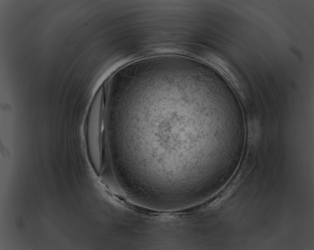 X0000090890814200708031051