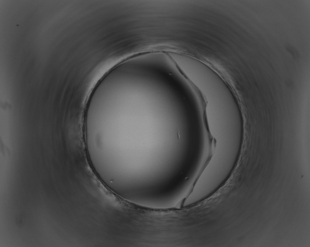 X0000090890816200708031051