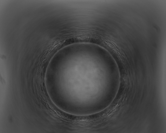 X0000090890817200708031050