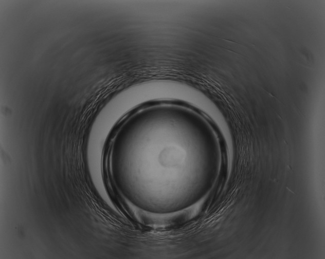 X0000090890818200708031050