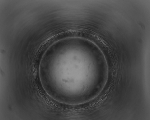 X0000090890821200708031050