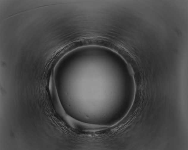 X0000090890822200708031050