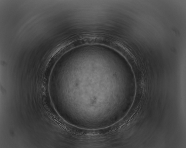 X0000090890823200708031050