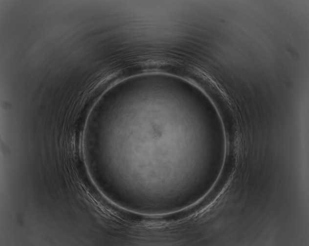 X0000090890825200708031050