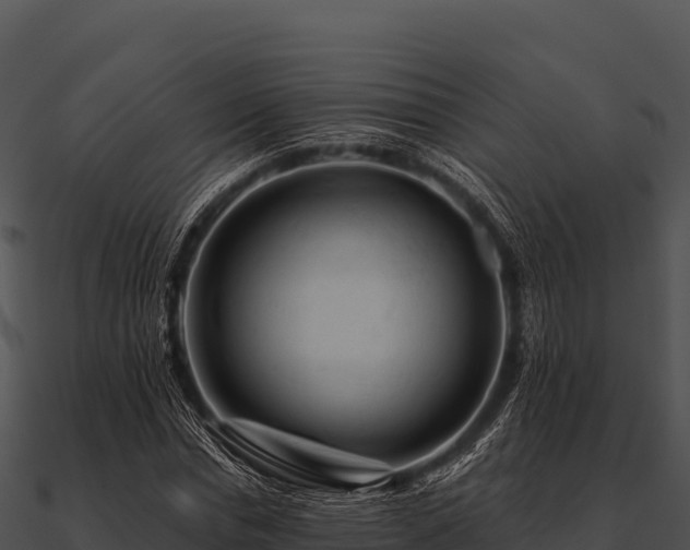 X0000090890826200708031050