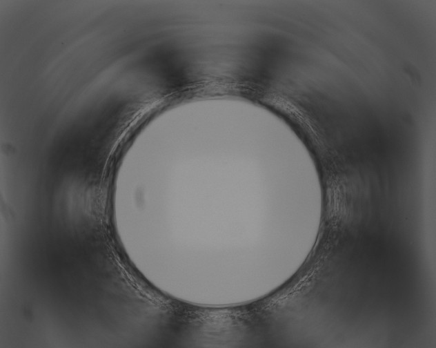 X0000090890828200708031050