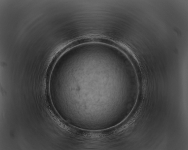 X0000090890831200708031050